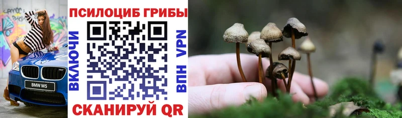 купить наркотики цена  это Telegram  Псилоцибиновые грибы Psilocybine cubensis  Стерлитамак 