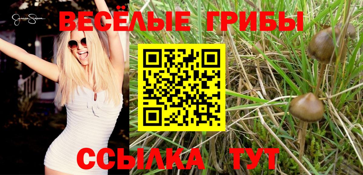 Стерлитамак  Псилоцибиновые грибы MAGIC MUSHROOMS  Вход с VPN 