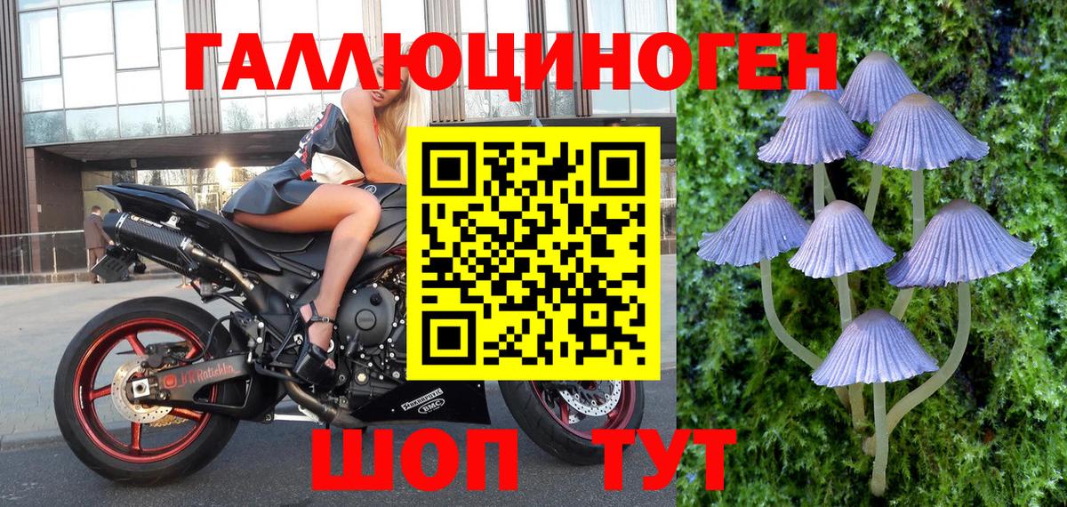 Псилоцибиновые грибы мицелий Стерлитамак